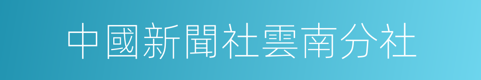 中國新聞社雲南分社的同義詞