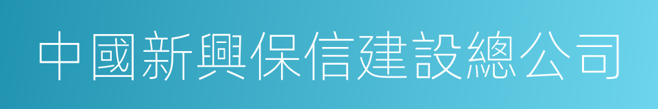 中國新興保信建設總公司的同義詞