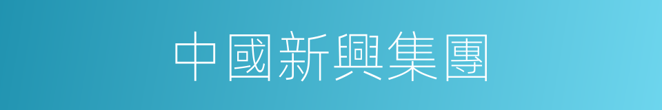 中國新興集團的同義詞