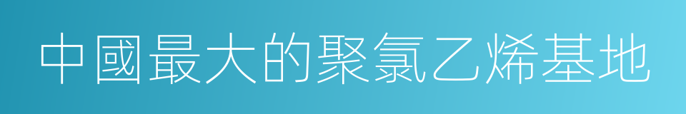 中國最大的聚氯乙烯基地的同義詞
