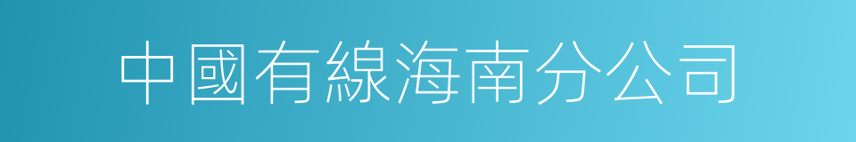 中國有線海南分公司的同義詞