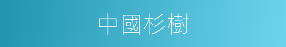中國杉樹的同義詞