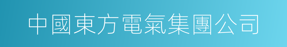 中國東方電氣集團公司的同義詞