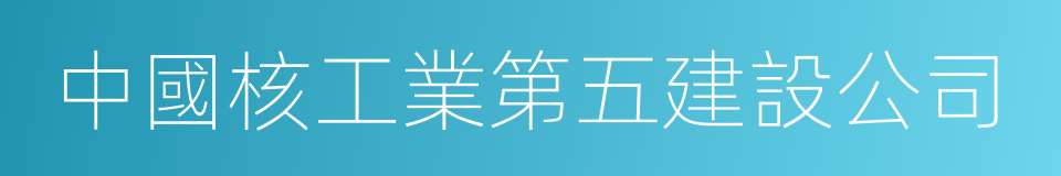 中國核工業第五建設公司的同義詞