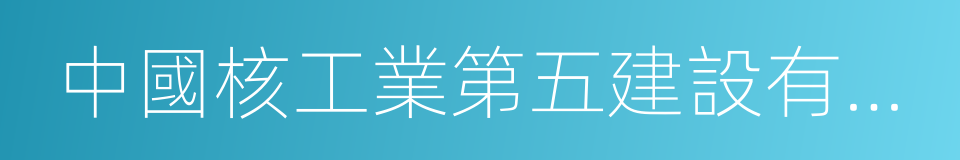 中國核工業第五建設有限公司的同義詞