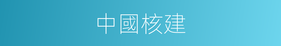 中國核建的同義詞