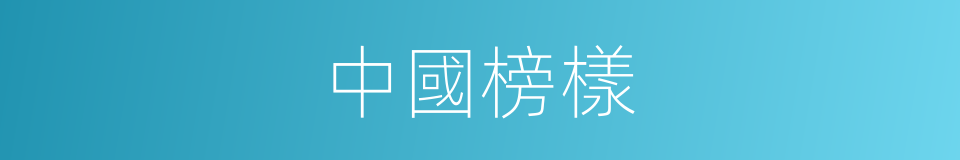 中國榜樣的同義詞