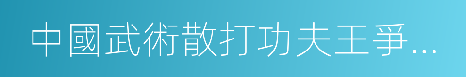 中國武術散打功夫王爭霸賽的同義詞