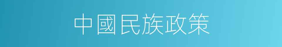 中國民族政策的同義詞