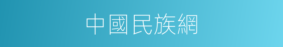 中國民族網的同義詞