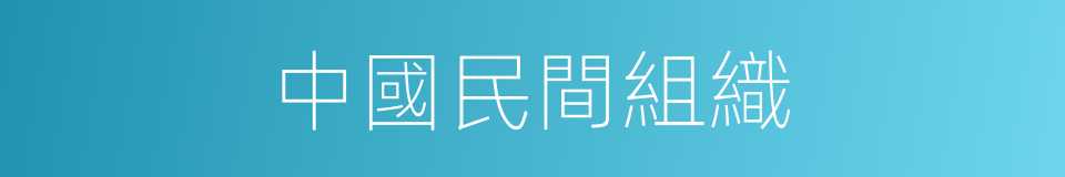 中國民間組織的同義詞