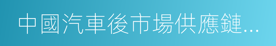 中國汽車後市場供應鏈白皮書的同義詞
