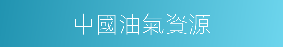 中國油氣資源的同義詞