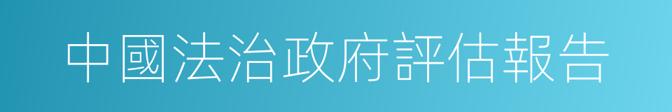 中國法治政府評估報告的同義詞