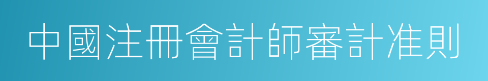 中國注冊會計師審計准則的同義詞