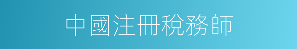 中國注冊稅務師的同義詞