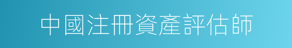 中國注冊資產評估師的同義詞