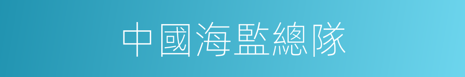 中國海監總隊的同義詞
