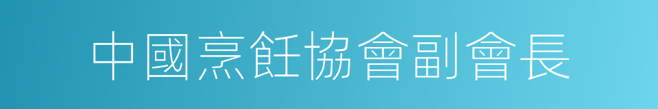中國烹飪協會副會長的同義詞