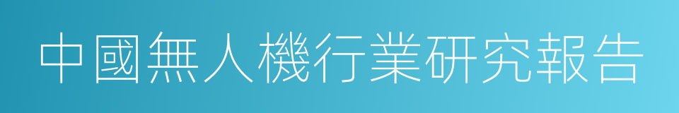 中國無人機行業研究報告的同義詞