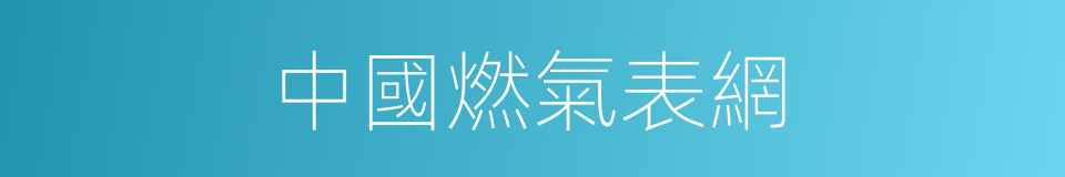 中國燃氣表網的同義詞