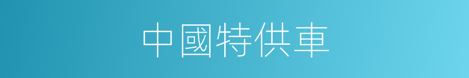 中國特供車的同義詞