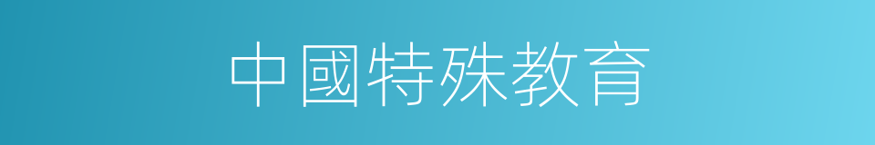 中國特殊教育的同義詞