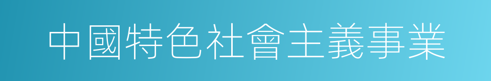 中國特色社會主義事業的同義詞