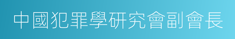 中國犯罪學研究會副會長的同義詞