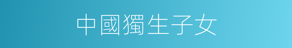 中國獨生子女的同義詞