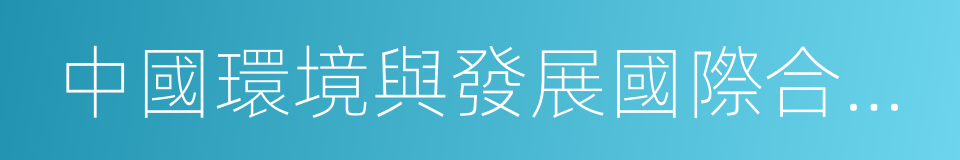 中國環境與發展國際合作委員會的同義詞