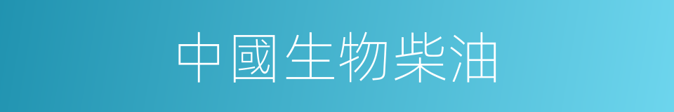 中國生物柴油的同義詞