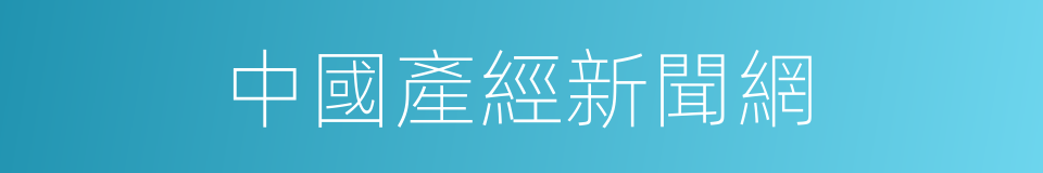 中國產經新聞網的同義詞