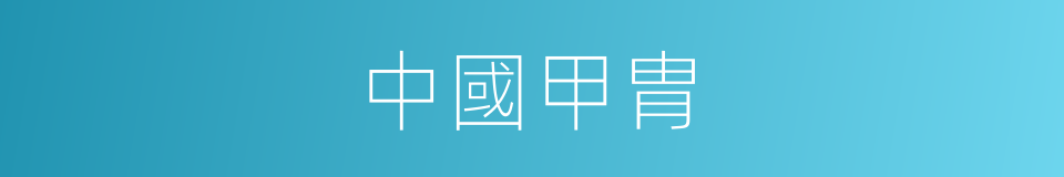 中國甲胄的同義詞