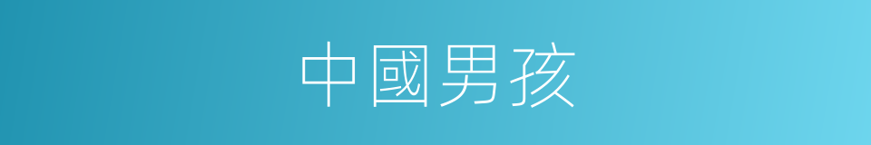 中國男孩的同義詞