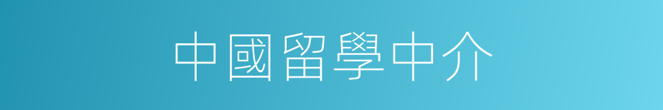 中國留學中介的同義詞