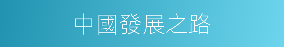 中國發展之路的同義詞