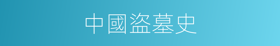 中國盜墓史的同義詞