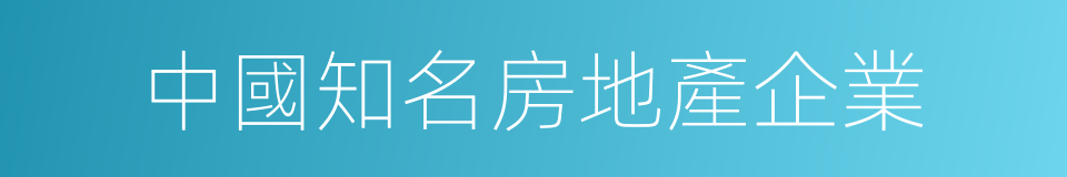 中國知名房地產企業的同義詞