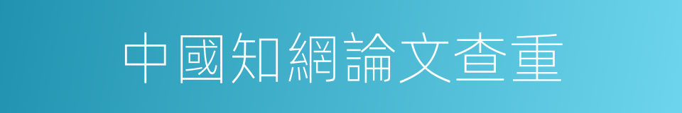 中國知網論文查重的同義詞