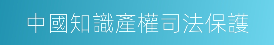 中國知識產權司法保護的同義詞