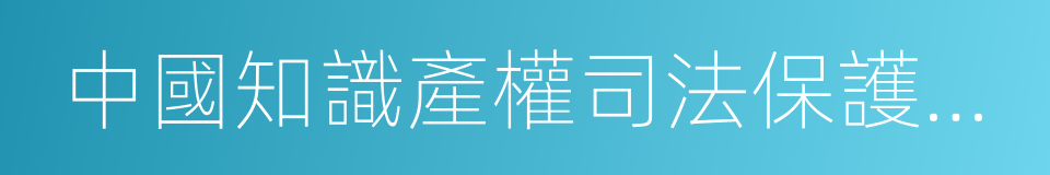 中國知識產權司法保護綱要的同義詞