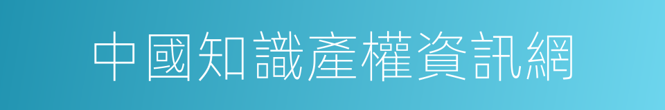 中國知識產權資訊網的同義詞