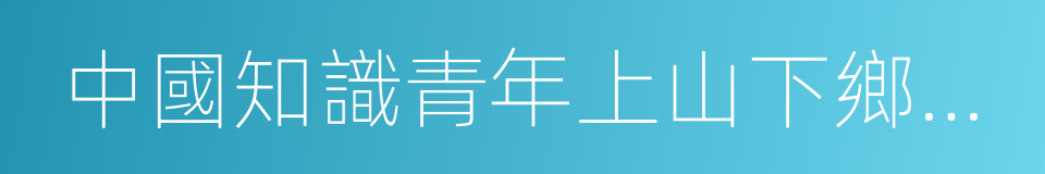 中國知識青年上山下鄉大事記的同義詞