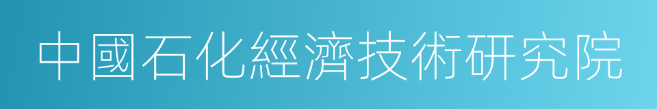 中國石化經濟技術研究院的同義詞