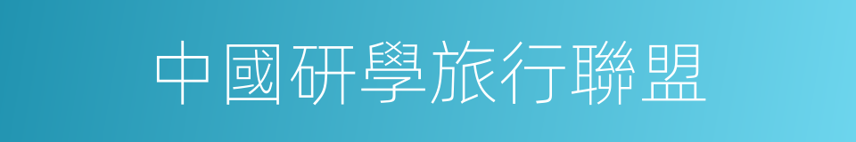 中國研學旅行聯盟的同義詞
