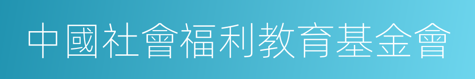 中國社會福利教育基金會的同義詞