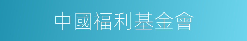 中國福利基金會的同義詞