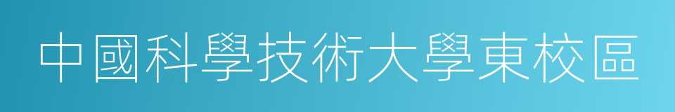 中國科學技術大學東校區的同義詞