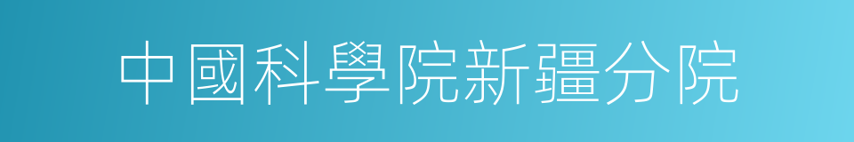 中國科學院新疆分院的同義詞